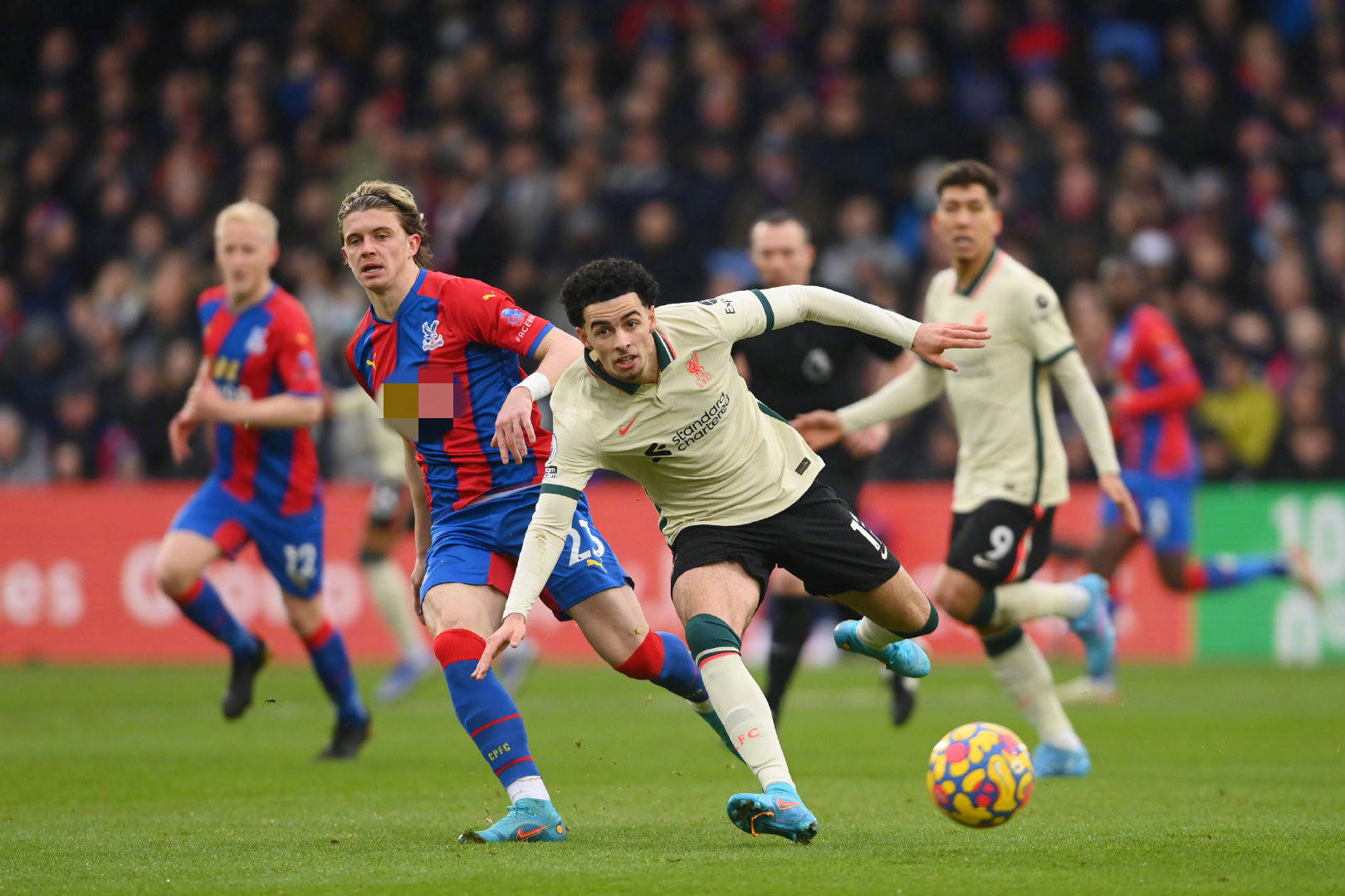 不僅成為意 不僅成為意